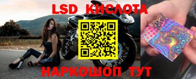 молекула духа Железногорск