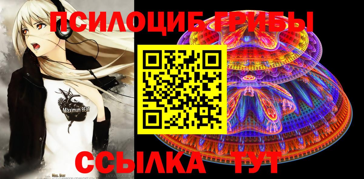 Галлюциногенные грибы мицелий Вязники
