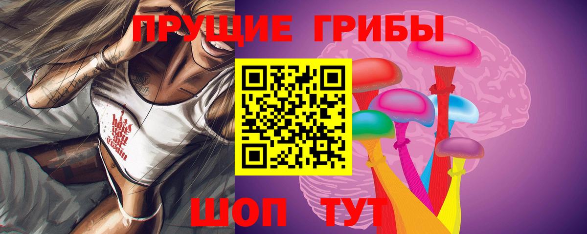 Вязники  Галлюциногенные грибы Magic Shrooms  сколько стоит  Вход с VPN 